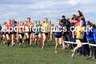 Intermediate Girls 2024 English Schools Cross Country Champs., Pontefract, March 16th.  Photo: David T. Hewitson/Sports for All Pics
